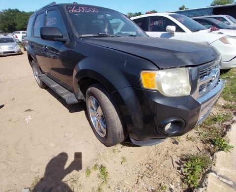 2011 Ford Escape in the Kiker's yard