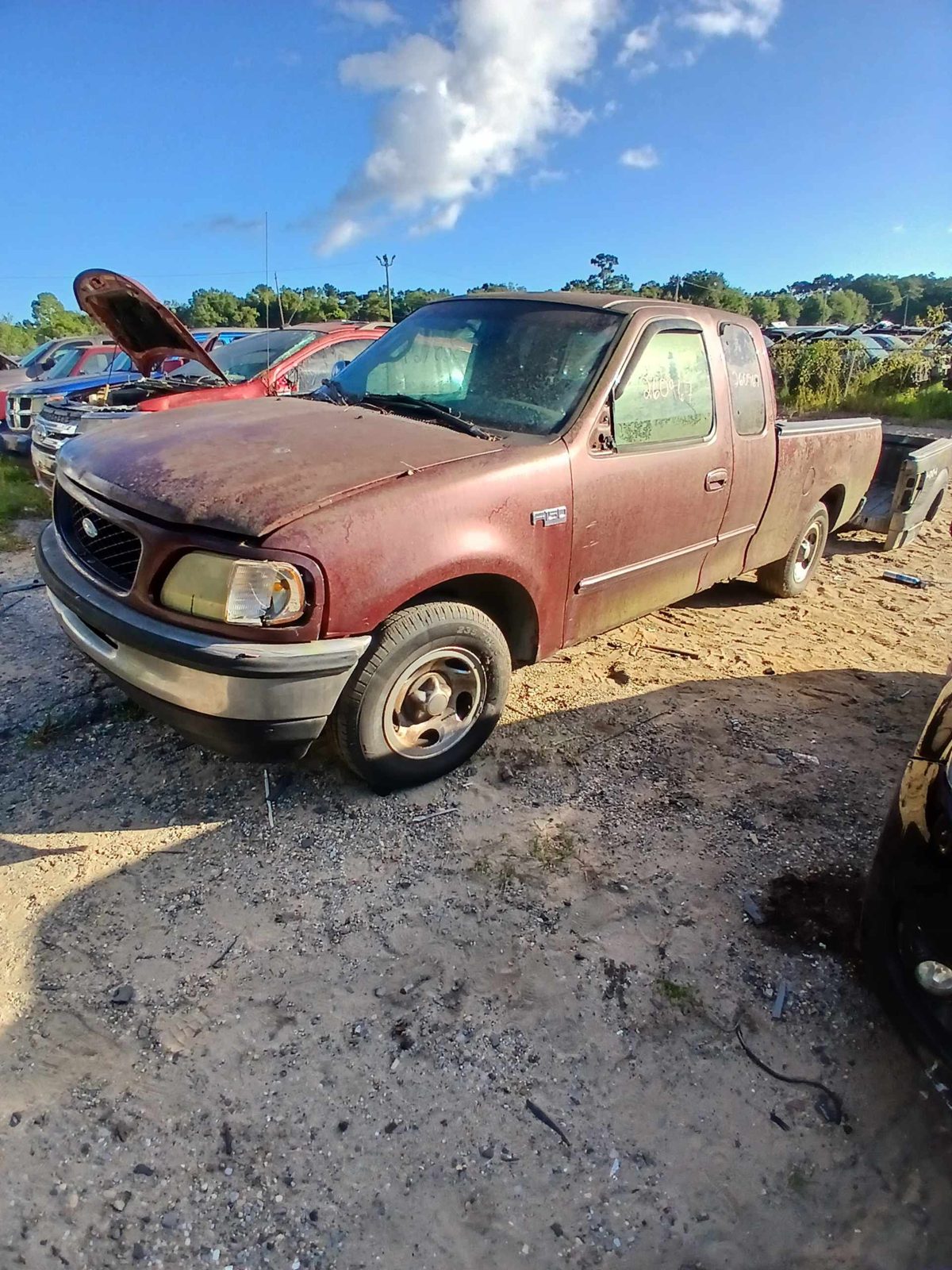 1999 FORD PICKUP F150 SERIES