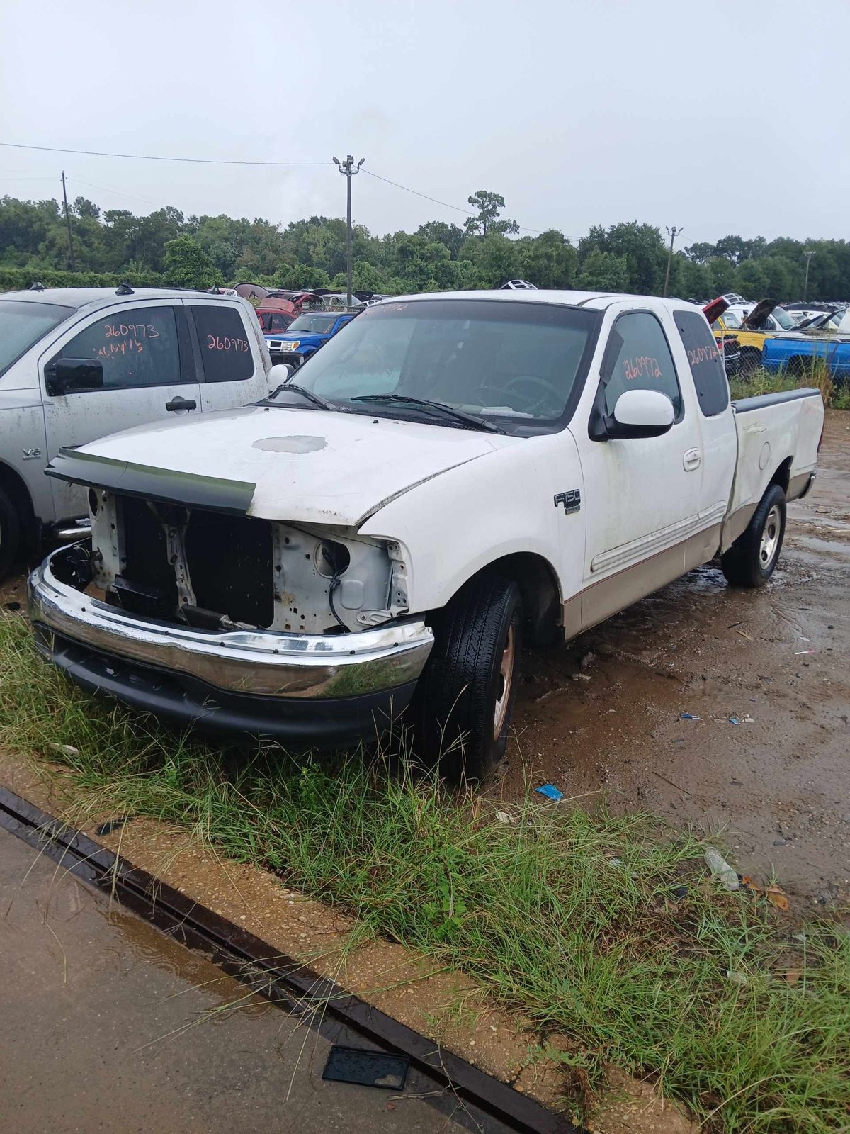 1999 FORD PICKUP F150 SERIES