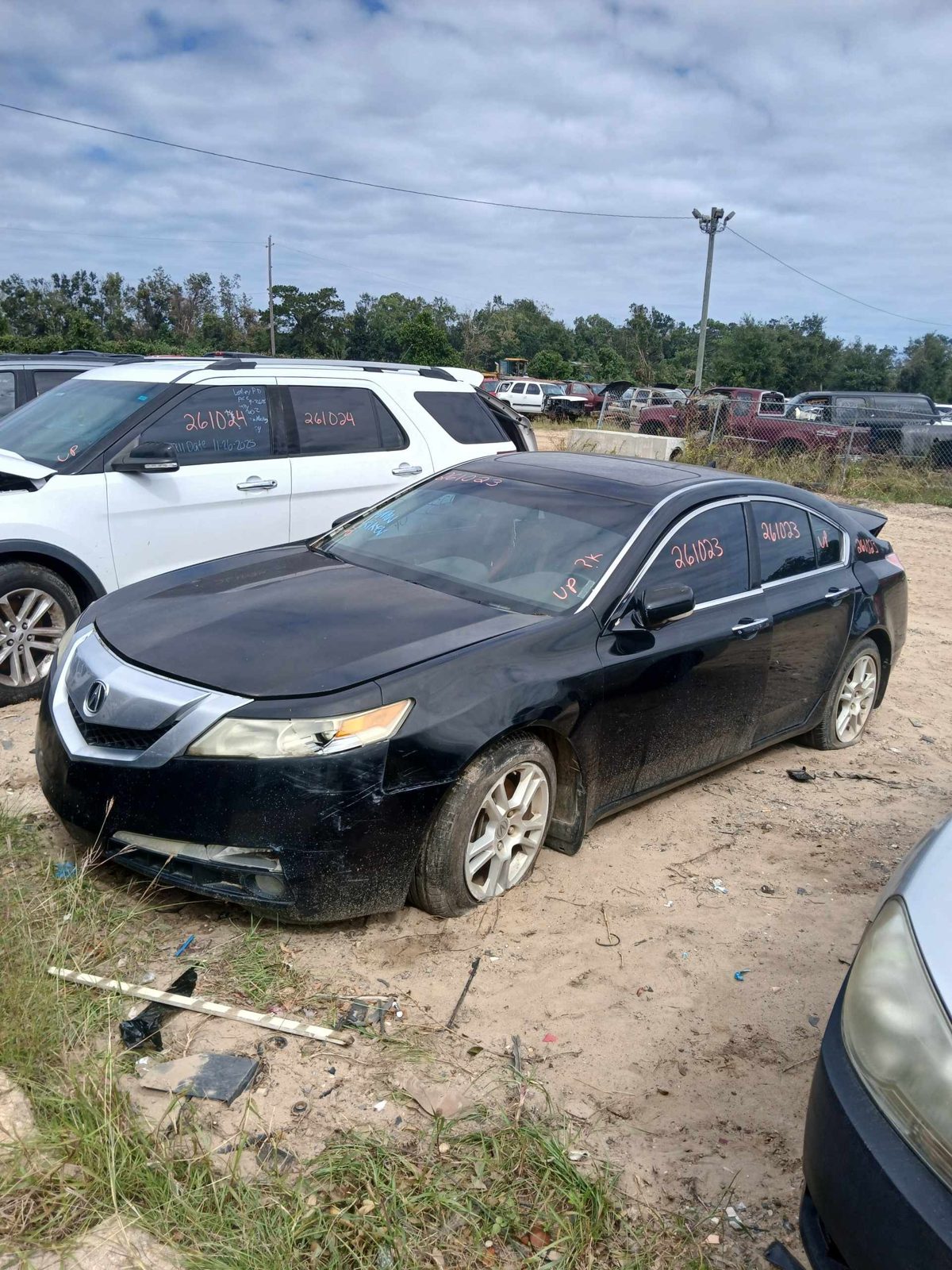 2009 ACURA TL