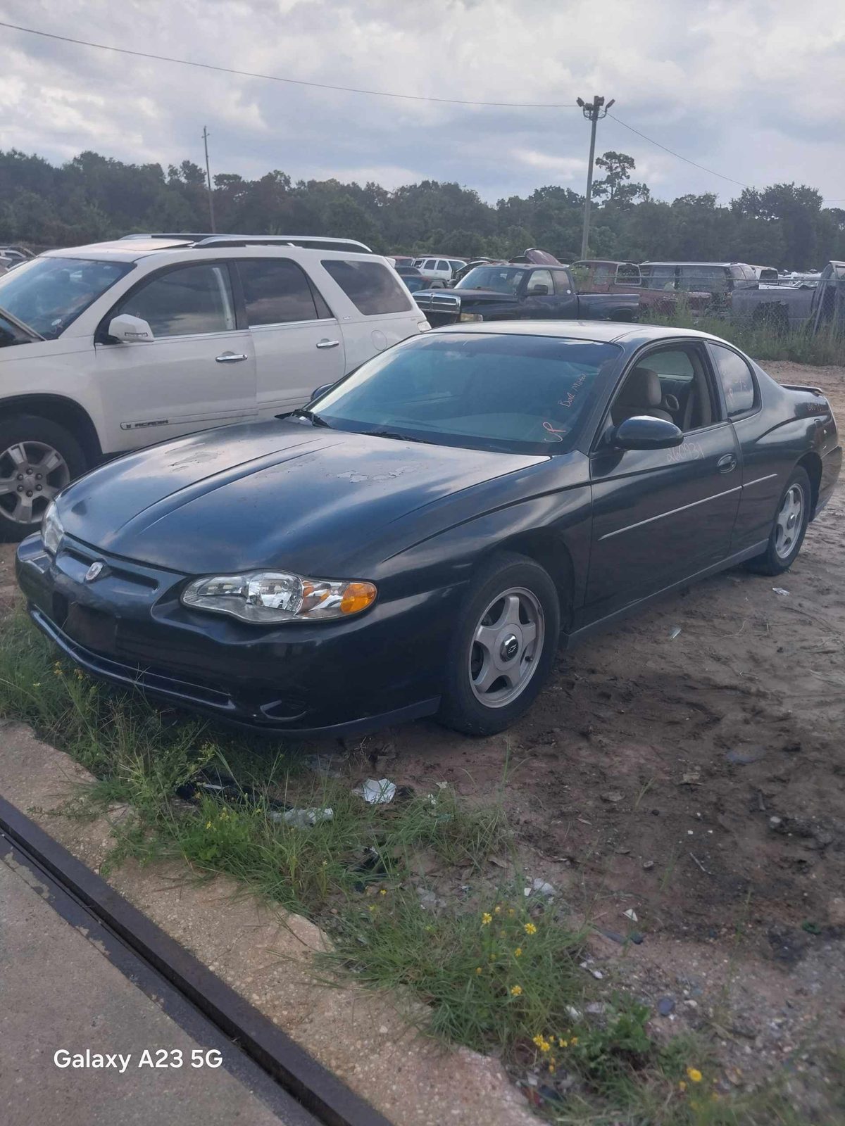 2003 MONTE CARLO