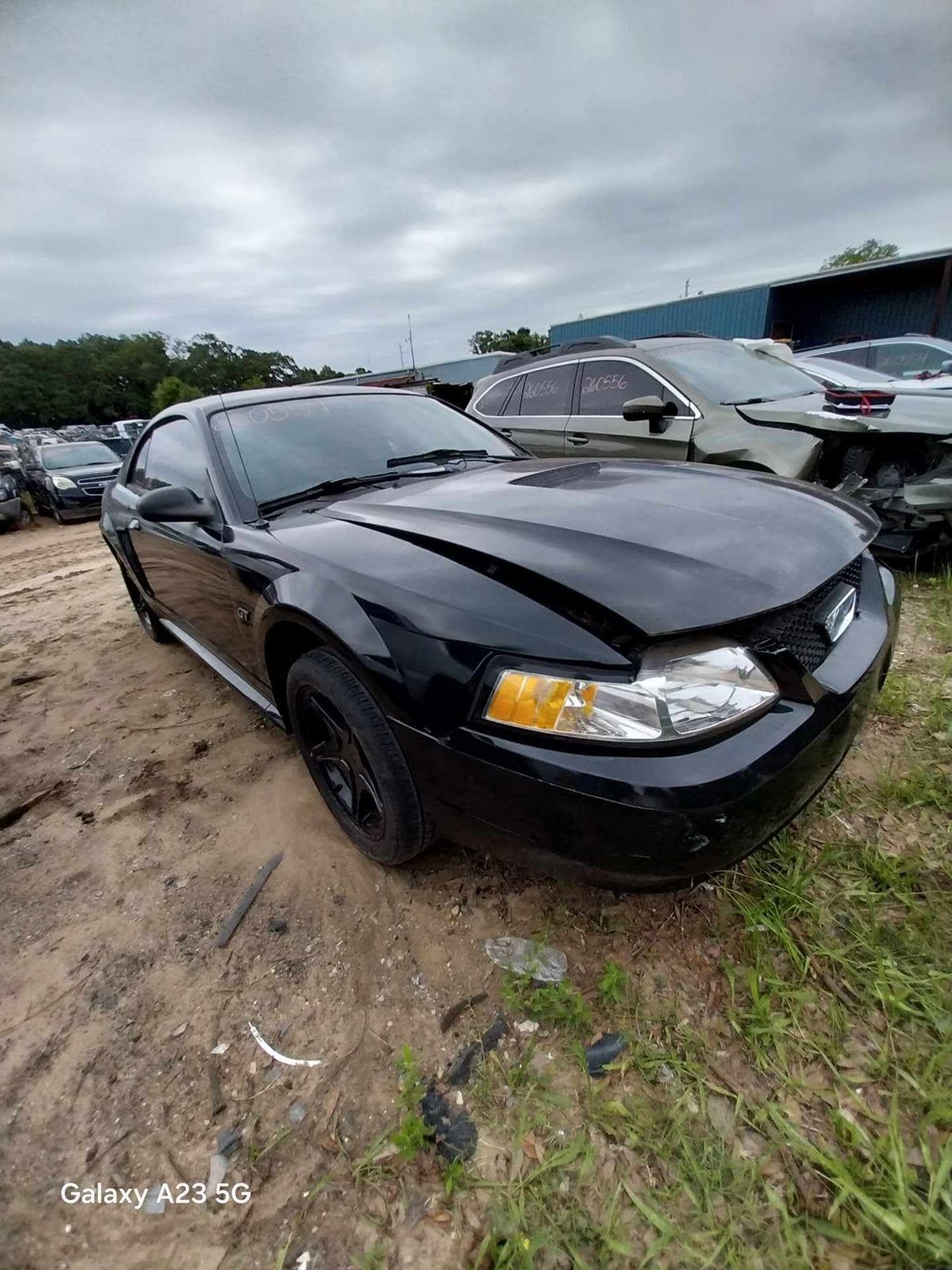 2000 MUSTANG