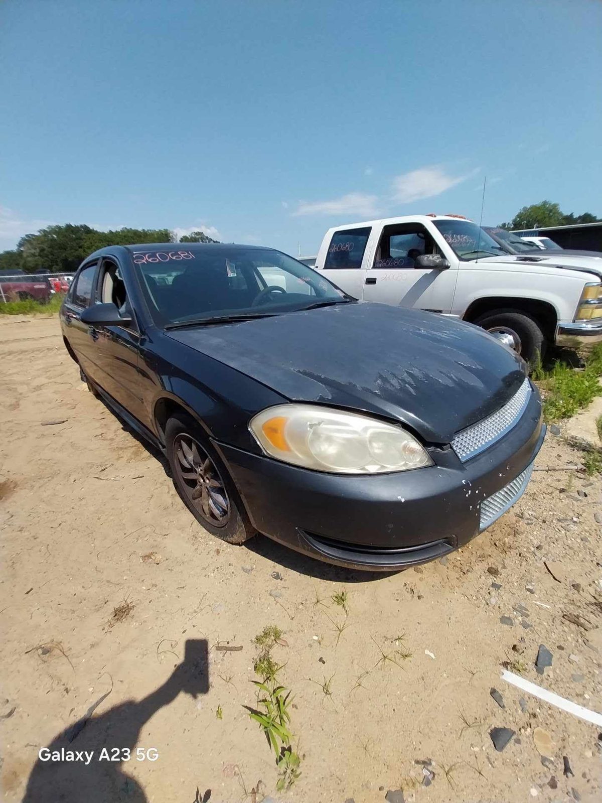 2013 CHEVROLET IMPALA (80 & UP)